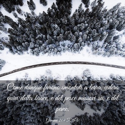Picture 03 - Giovanni 21:9 RIV - Come dunque furono smontati a terra, videro quivi - Bible Verse Picture