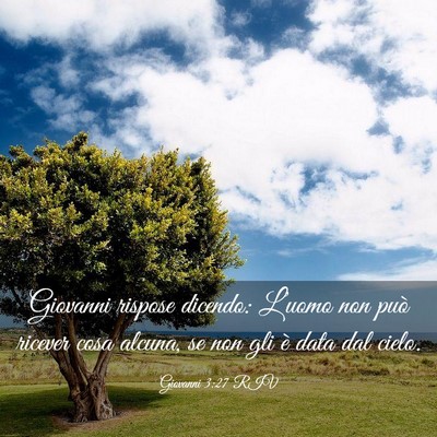 Picture 03 - Giovanni 3:27 RIV - Giovanni rispose dicendo: L’uomo non può - Bible Verse Picture