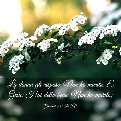 Picture 03 - Giovanni 4:17 RIV - La donna gli rispose: Non ho marito. E Gesù: Hai - Bible Verse Picture