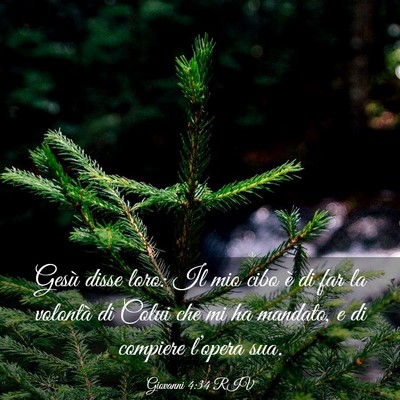 Picture 03 - Giovanni 4:34 RIV - Gesù disse loro: Il mio cibo è di far la - Bible Verse Picture