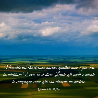 Picture 03 - Giovanni 4:35 RIV - Non dite voi che ci sono ancora quattro mesi e - Bible Verse Picture