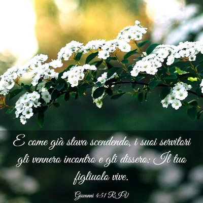 Picture 03 - Giovanni 4:51 RIV - E come già stava scendendo, i suoi servitori gli - Bible Verse Picture