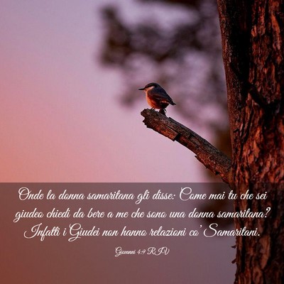 Picture 03 - Giovanni 4:9 RIV - Onde la donna samaritana gli disse: Come mai tu - Bible Verse Picture