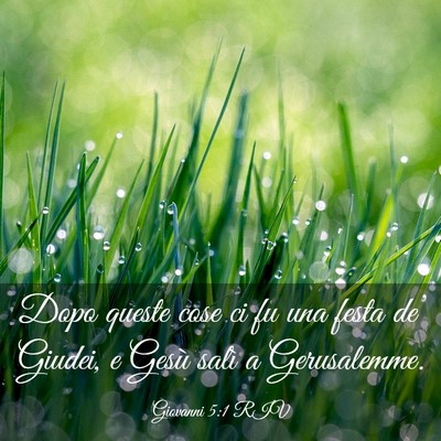 Picture 03 - Giovanni 5:1 RIV - Dopo queste cose ci fu una festa de’ Giudei, e - Bible Verse Picture