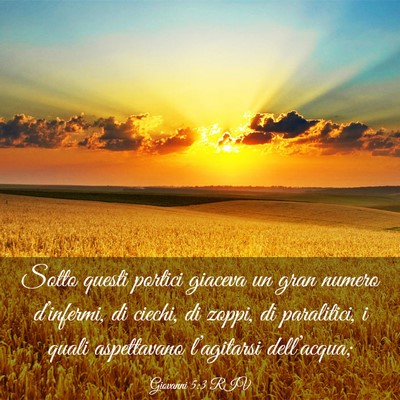 Picture 03 - Giovanni 5:3 RIV - Sotto questi portici giaceva un gran numero - Bible Verse Picture