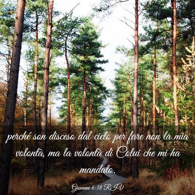 Picture 03 - Giovanni 6:38 RIV - perché son disceso dal cielo per fare non la mia - Bible Verse Picture