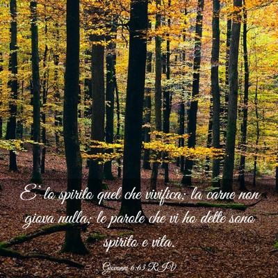Picture 03 - Giovanni 6:63 RIV - E’ lo spirito quel che vivifica; la carne non - Bible Verse Picture