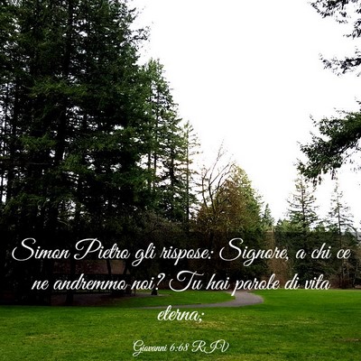 Picture 03 - Giovanni 6:68 RIV - Simon Pietro gli rispose: Signore, a chi ce ne - Bible Verse Picture