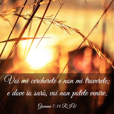 Picture 03 - Giovanni 7:34 RIV - Voi mi cercherete e non mi troverete; e dove io - Bible Verse Picture