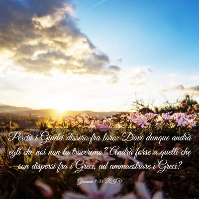 Picture 03 - Giovanni 7:35 RIV - Perciò i Giudei dissero fra loro: Dove dunque - Bible Verse Picture