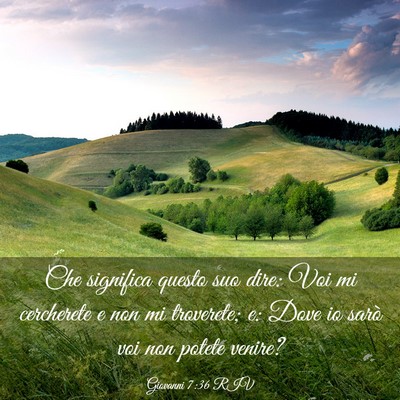 Picture 03 - Giovanni 7:36 RIV - Che significa questo suo dire: Voi mi cercherete - Bible Verse Picture