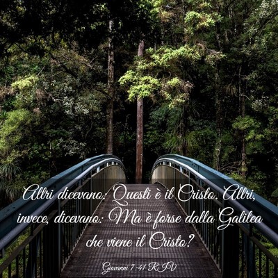 Picture 03 - Giovanni 7:41 RIV - Altri dicevano: Questi è il Cristo. Altri, - Bible Verse Picture
