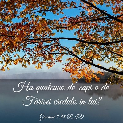 Picture 03 - Giovanni 7:48 RIV - Ha qualcuno de’ capi o de’ Farisei creduto in - Bible Verse Picture