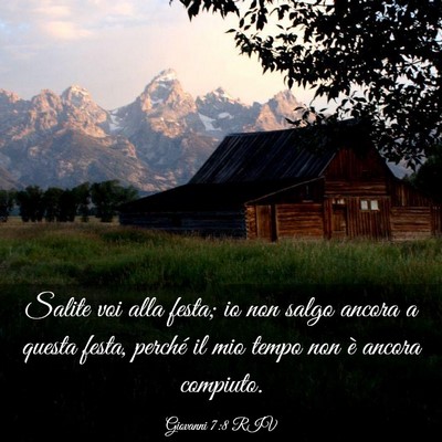 Picture 03 - Giovanni 7:8 RIV - Salite voi alla festa; io non salgo ancora a - Bible Verse Picture