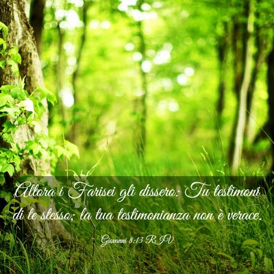 Picture 03 - Giovanni 8:13 RIV - Allora i Farisei gli dissero: Tu testimoni di te - Bible Verse Picture