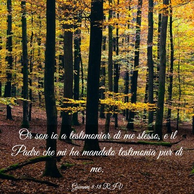 Picture 03 - Giovanni 8:18 RIV - Or son io a testimoniar di me stesso, e il Padre - Bible Verse Picture