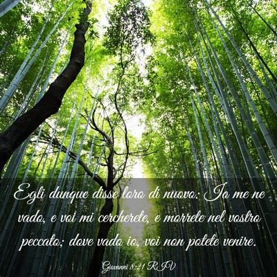 Picture 03 - Giovanni 8:21 RIV - Egli dunque disse loro di nuovo: Io me ne vado, e - Bible Verse Picture