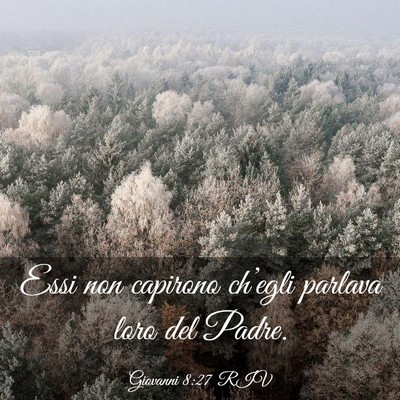 Picture 03 - Giovanni 8:27 RIV - Essi non capirono ch’egli parlava loro del - Bible Verse Picture