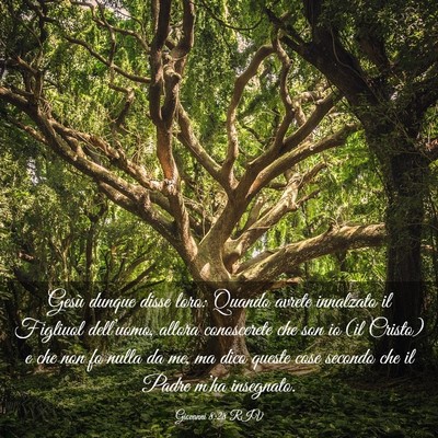Picture 03 - Giovanni 8:28 RIV - Gesù dunque disse loro: Quando avrete innalzato - Bible Verse Picture