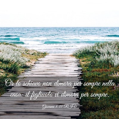 Picture 03 - Giovanni 8:35 RIV - Or lo schiavo non dimora per sempre nella casa: - Bible Verse Picture