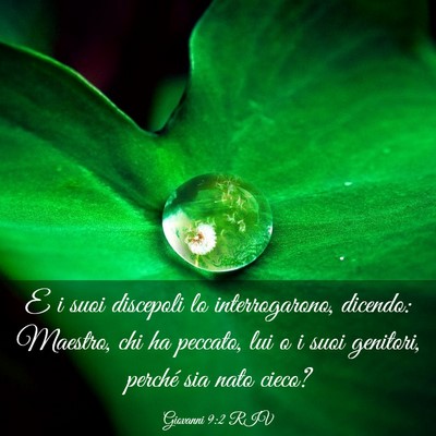 Picture 03 - Giovanni 9:2 RIV - E i suoi discepoli lo interrogarono, dicendo: - Bible Verse Picture