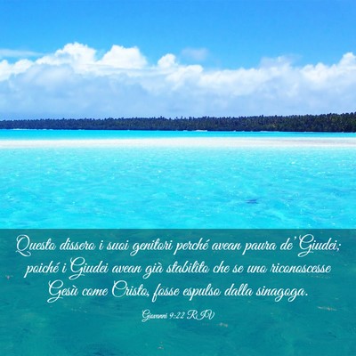 Picture 03 - Giovanni 9:22 RIV - Questo dissero i suoi genitori perché avean - Bible Verse Picture