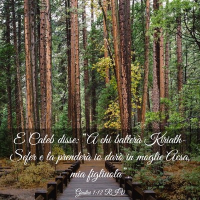 Picture 03 - Giudici 1:12 RIV - E Caleb disse: “A chi batterà Kiriath-Sefer e - Bible Verse Picture