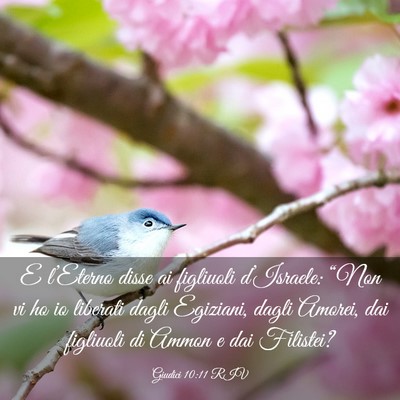 Picture 03 - Giudici 10:11 RIV - E l’Eterno disse ai figliuoli d’Israele: - Bible Verse Picture