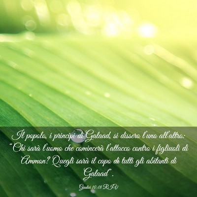 Picture 03 - Giudici 10:18 RIV - Il popolo, i principi di Galaad, si dissero - Bible Verse Picture