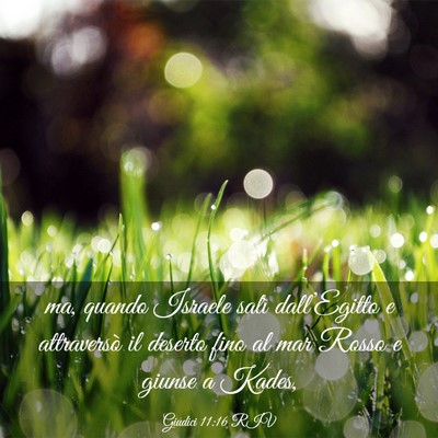 Picture 03 - Giudici 11:16 RIV - ma, quando Israele salì dall’Egitto e - Bible Verse Picture