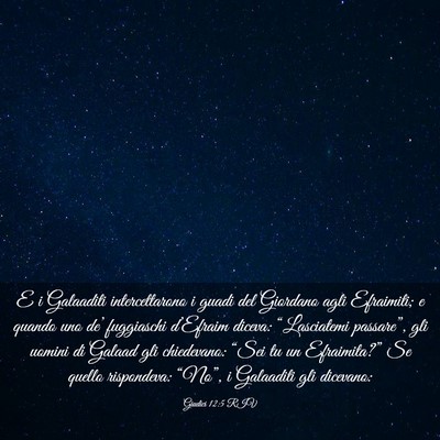 Picture 03 - Giudici 12:5 RIV - E i Galaaditi intercettarono i guadi del Giordano - Bible Verse Picture