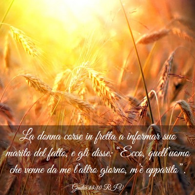 Picture 03 - Giudici 13:10 RIV - La donna corse in fretta a informar suo marito - Bible Verse Picture