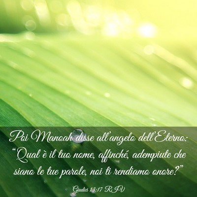 Picture 03 - Giudici 13:17 RIV - Poi Manoah disse all’angelo dell’Eterno: - Bible Verse Picture