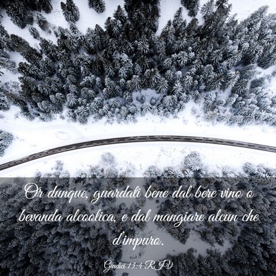 Picture 03 - Giudici 13:4 RIV - Or dunque, guardati bene dal bere vino o bevanda - Bible Verse Picture