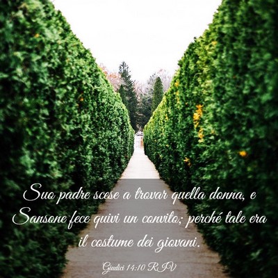 Picture 03 - Giudici 14:10 RIV - Suo padre scese a trovar quella donna, e Sansone - Bible Verse Picture