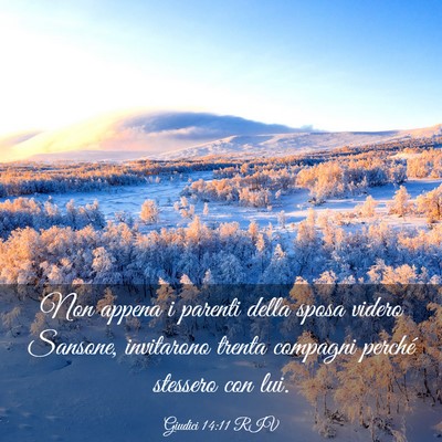 Picture 03 - Giudici 14:11 RIV - Non appena i parenti della sposa videro Sansone, - Bible Verse Picture