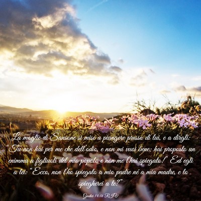 Picture 03 - Giudici 14:16 RIV - La moglie di Sansone si mise a piangere presso di - Bible Verse Picture