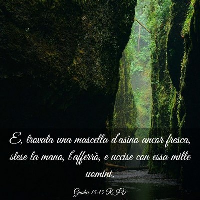 Picture 03 - Giudici 15:15 RIV - E, trovata una mascella d’asino ancor fresca, - Bible Verse Picture