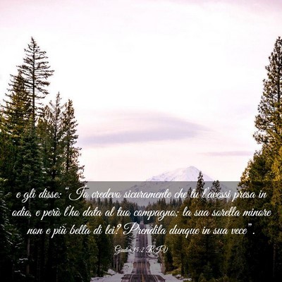 Picture 03 - Giudici 15:2 RIV - e gli disse: “Io credevo sicuramente che tu - Bible Verse Picture