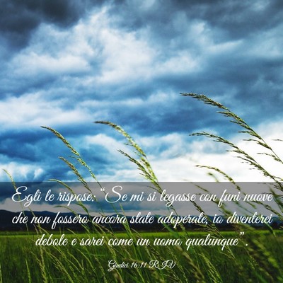 Picture 03 - Giudici 16:11 RIV - Egli le rispose: “Se mi si legasse con funi - Bible Verse Picture