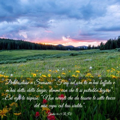 Picture 03 - Giudici 16:13 RIV - Delila disse a Sansone: “Fino ad ora tu m’hai - Bible Verse Picture