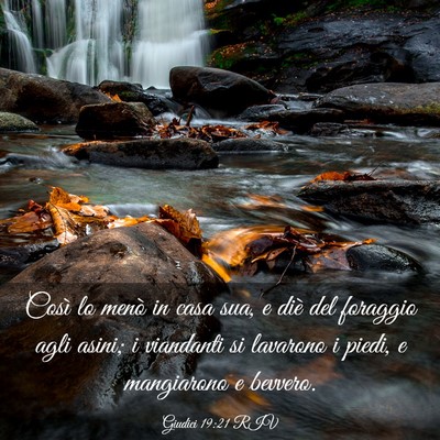 Picture 03 - Giudici 19:21 RIV - Così lo menò in casa sua, e diè del foraggio - Bible Verse Picture