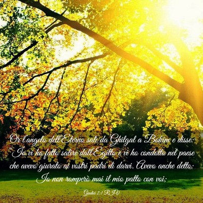 Picture 03 - Giudici 2:1 RIV - Or l’angelo dell’Eterno salì da Ghilgal a - Bible Verse Picture