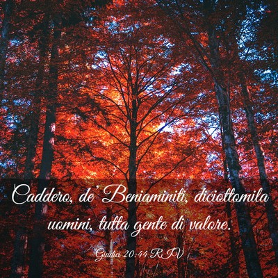 Picture 03 - Giudici 20:44 RIV - Caddero, de’ Beniaminiti, diciottomila uomini, - Bible Verse Picture