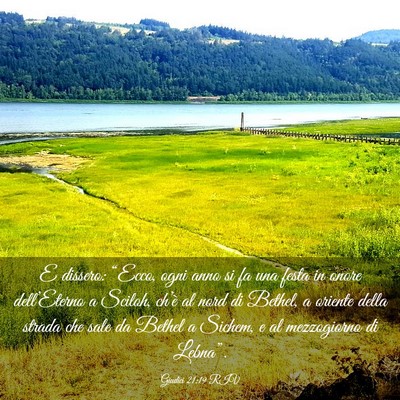 Picture 03 - Giudici 21:19 RIV - E dissero: “Ecco, ogni anno si fa una festa in - Bible Verse Picture
