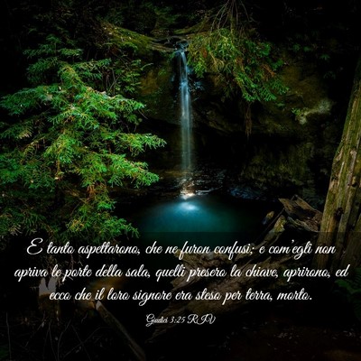 Picture 03 - Giudici 3:25 RIV - E tanto aspettarono, che ne furon confusi; e - Bible Verse Picture