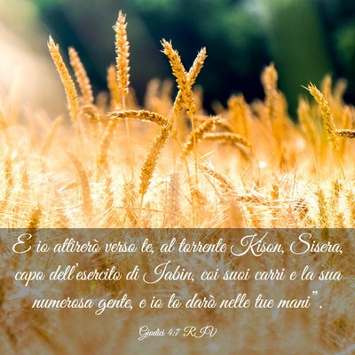 Picture 03 - Giudici 4:7 RIV - E io attirerò verso te, al torrente Kison, - Bible Verse Picture
