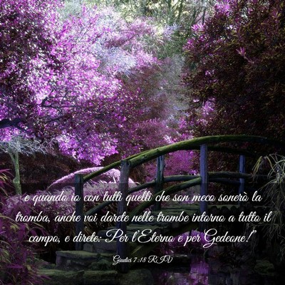 Picture 03 - Giudici 7:18 RIV - e quando io con tutti quelli che son meco sonerò - Bible Verse Picture
