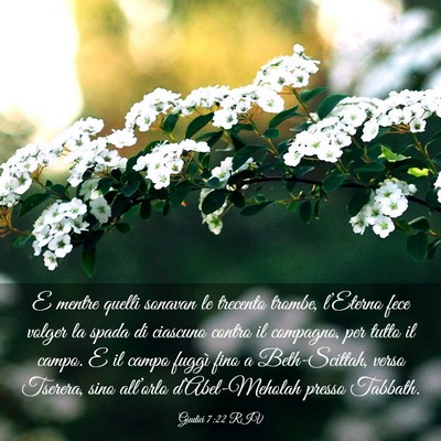 Picture 03 - Giudici 7:22 RIV - E mentre quelli sonavan le trecento trombe, - Bible Verse Picture