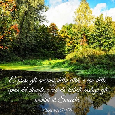 Picture 03 - Giudici 8:16 RIV - E prese gli anziani della città, e con delle - Bible Verse Picture